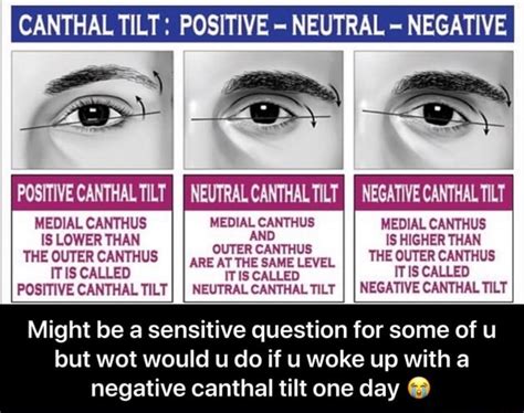 canthal tilt|canthal tilt meaning.